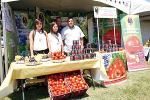 ولاية الطارف تحيي الطبعة الثانية للعيد الوطني للطماطم