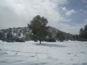 كيف كان الريفيون يواجهون الثلج في الماضي؟