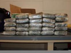 شبكة دولية تنشط عبر محور تونس - الجزائر - المغرب وراء العملية               إحباط مخطط لتهريب نصف قنطار من  المخدرات بالوادي