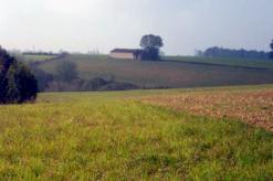 فيما شهدت بلدية يلل بغليزان محاولة انتحار 4 إخوة أراضي “الشيوع” تولّد الشقاق والكراهية بين أبناء العائلة الواحدة