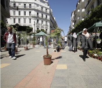 Alger s'embellit