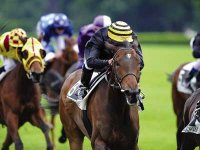 UN QUINTE POCHETTE-SURPRISE