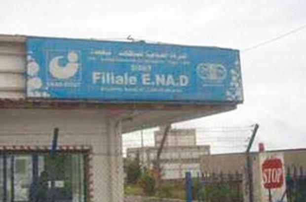 Les travailleurs de l'Enad de Sour El-Ghozlane ferment le CW127