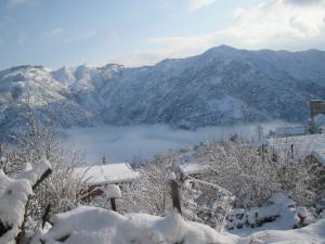 Tizi Ouzou - Le retour de la neige sur les hauteurs
