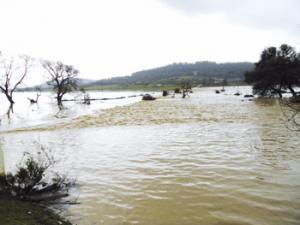 El Tarf - Retour du mauvais temps et des inondations: Plusieurs axes routiers fermés à la circulation automobile