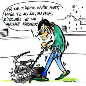 Souk Ahras - Les pit-bulls font de plus en plus peur