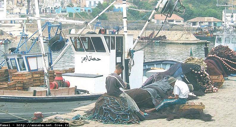 El Kala - Les pêcheurs en colère contre leurs représentants