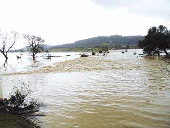 El Tarf - Retour du mauvais temps et des inondations: Plusieurs axes routiers fermés à la circulation automobile
