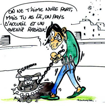 Souk Ahras - Les pit-bulls font de plus en plus peur