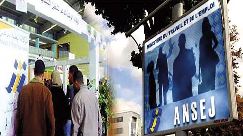 L'Ansej, un dispositif adopté par les jeunes