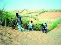 Timimoun - Rencontre sur la lutte contre la désertification