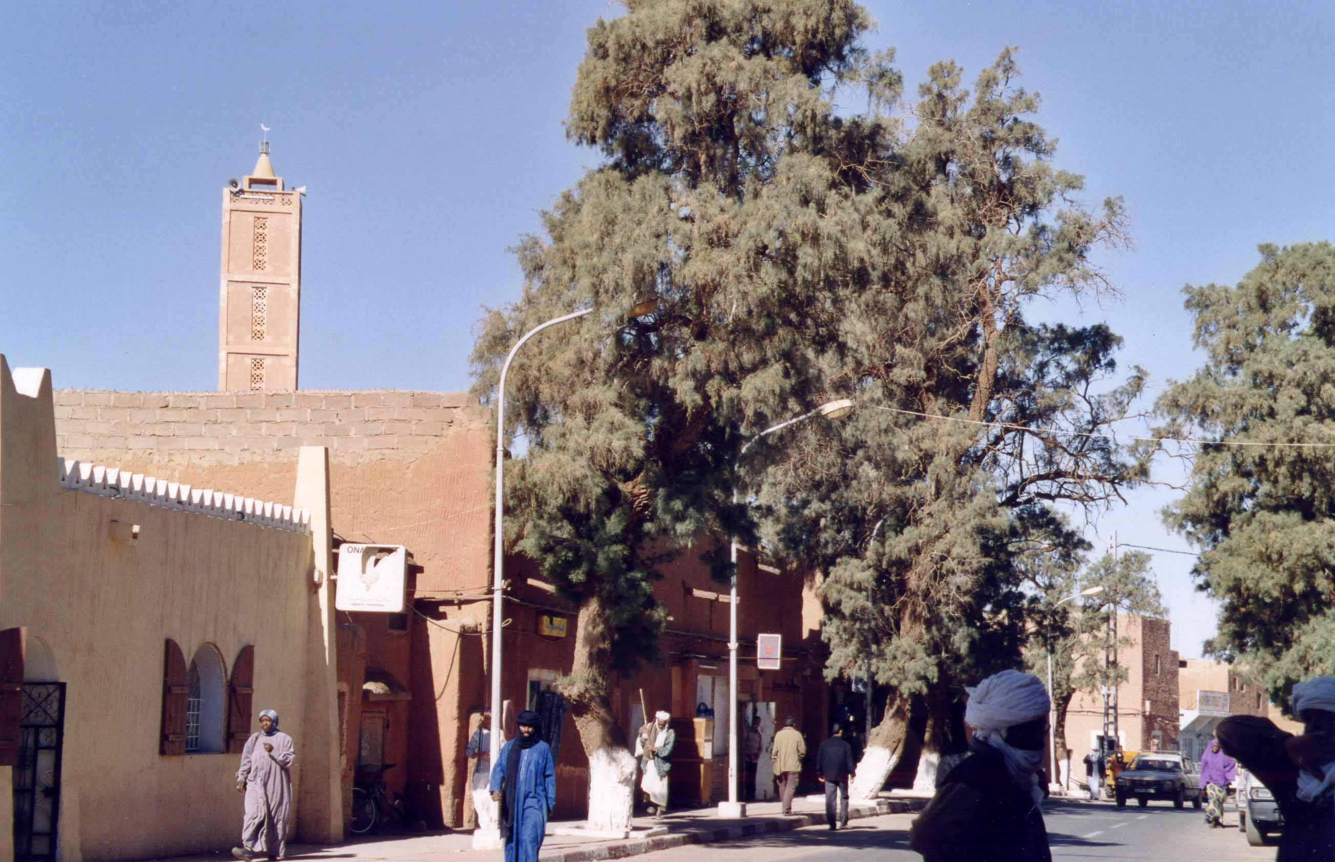 Tamanrasset - Olympiades des professions et des métiers