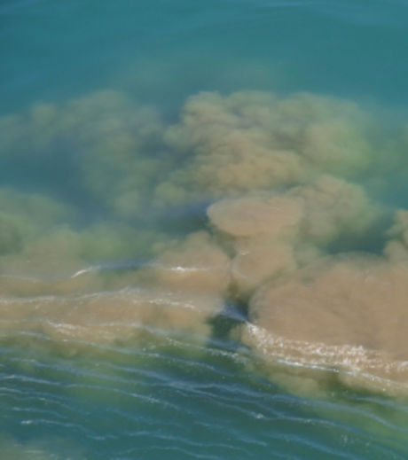 Planète - La pollution de l'eau, en tête des priorités environnementales pour les Français