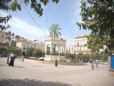 En attendant que les autorités locales suivent: Les Blidéens s'impliquent dans l'embellissement de leurs cités