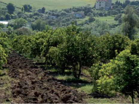 Pour la valorisation des produits forestiers