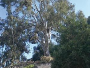 Blida - Un éboulement et beaucoup de craintes...