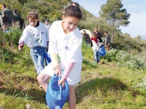 A Zéralda, les écoliers se mettent au vert