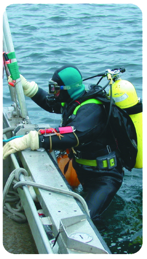 Ténès - Un institut de la mer en perspective