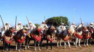 الصالون الوطني التاسع للفرس بتيارت