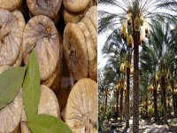 Cérémonie de labellisation jeudi prochain