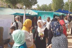 Baisse des projets financés par l'Ansej