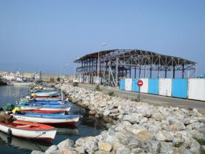 Boumerdes - Plus de 430 pêcheurs seront indemnisés pendant le repos biologique des poissons