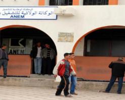 في إطار الوكالة الوطنية لتسيير القرض المصغر ”أونجام” تسوية أزيد من 4140 ملف منذ بداية العملية بالمدية