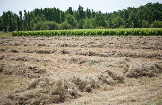 Planète - La France pourrait à nouveau être à sec cet été
