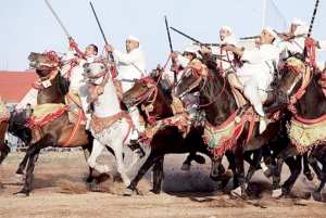 غدا إنطلاق المهرجان الوطني التاسع للفرس بتيارت