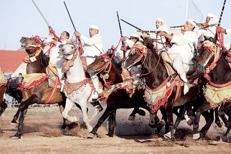 غدا إنطلاق المهرجان الوطني التاسع للفرس بتيارت