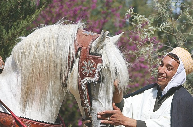 Neuvième Salon national du cheval