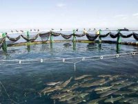 Un secteur promoteur et un avenir prometteur