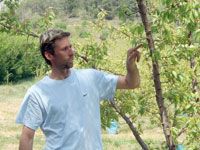 Des journées techniques sur l'utilisation du Régalis à Aïn Ouessara: Une molécule pour prévenir les arbres du feu bactérien