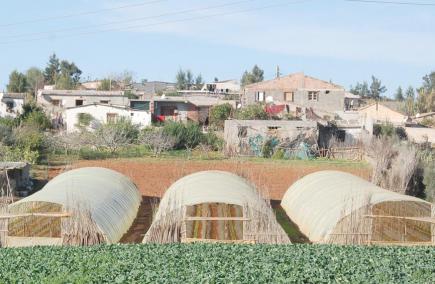 تسليم 150 مسكن ومشروع لإنجاز 400 وحدة ببلدية ابن زياد بقسنطينة