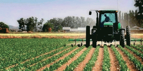 L'Ansej disposée à financer les projets