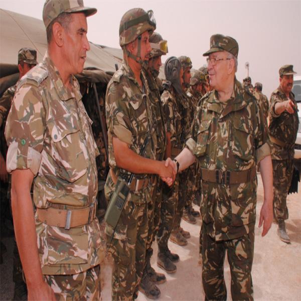 Gaïd Salah en visite de travail dans la 4e Région militaire à Ouargla
