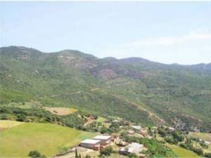 Chlef - Environnement: Un plan pour le reboisement