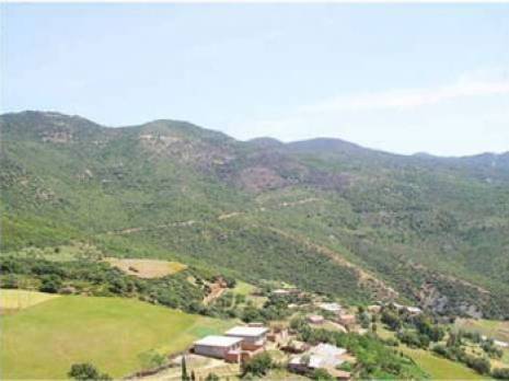 Chlef - Environnement: Un plan pour le reboisement