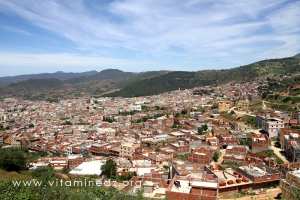 NEDROMA De Tlemcen à Nemours par la route directe (Guides bleus Hachette, 1955.)