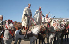 Tiaret / Salon national du cheval