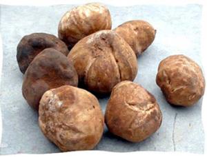 Ghardaïa - Le  terfesse  est de retour sur les étals