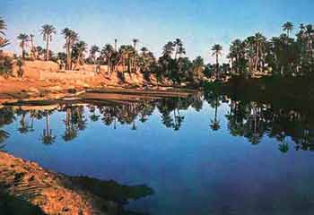 Algérie - Zones steppiques et espaces oasiens: A protéger des agressions humaines