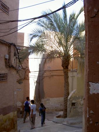 Ghardaïa - Le M'Zab, une vallée qui se meurt?