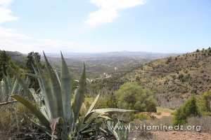 Les monts traras, patrie d'Abdel Moumen fondateur de la dynastie des Mouwahidines