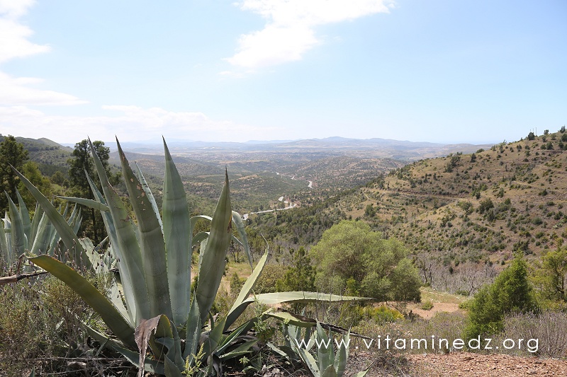 Les monts traras, patrie d'Abdel Moumen fondateur de la dynastie des Mouwahidines