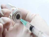 La vaccination, seul moyen de protection