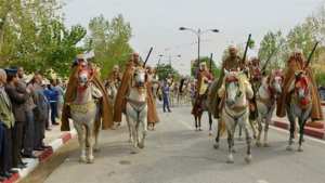 الصالون الوطني للفرس بتيارت