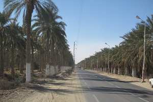 سكان الوادي ينتظرون استكمال الطريق نحو حاسي مسعود