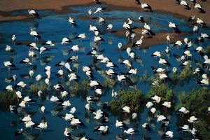 Bordj Omar Driss (Illizi) - Une association aux ambitions citoyennes