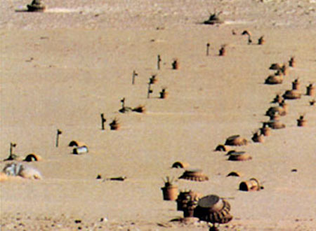 الجزائر تؤكد وجود ما يقرب من 3 ملايين لغم موجودة في المناطق الحدودية